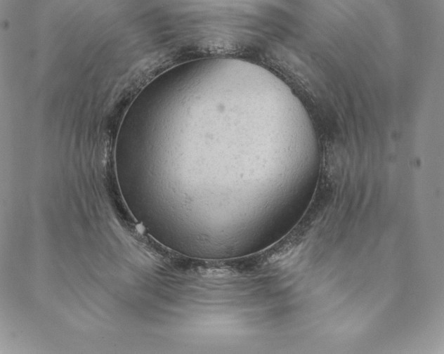 X0000088650645200706081639