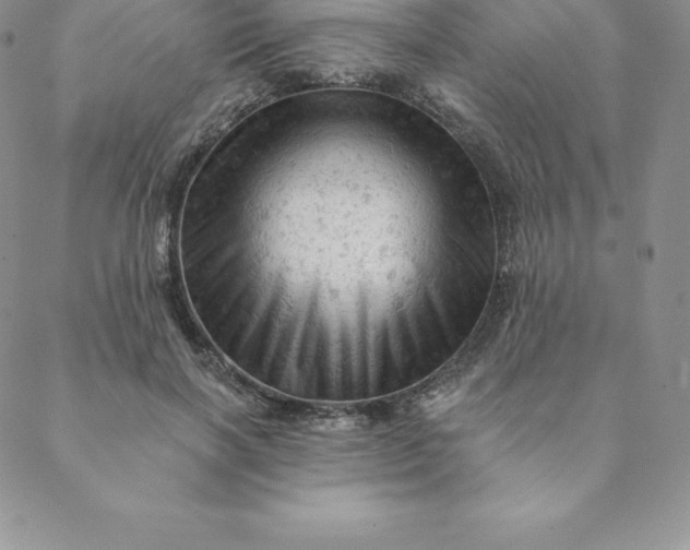 X0000088650646200706081639