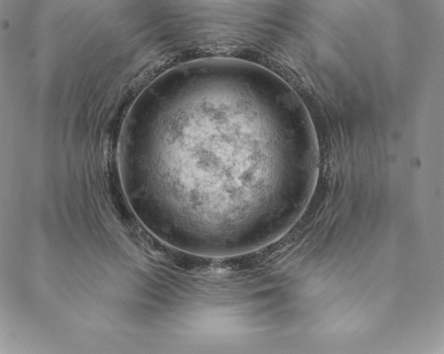 X0000088650647200706081639