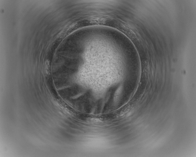 X0000088650649200706081639