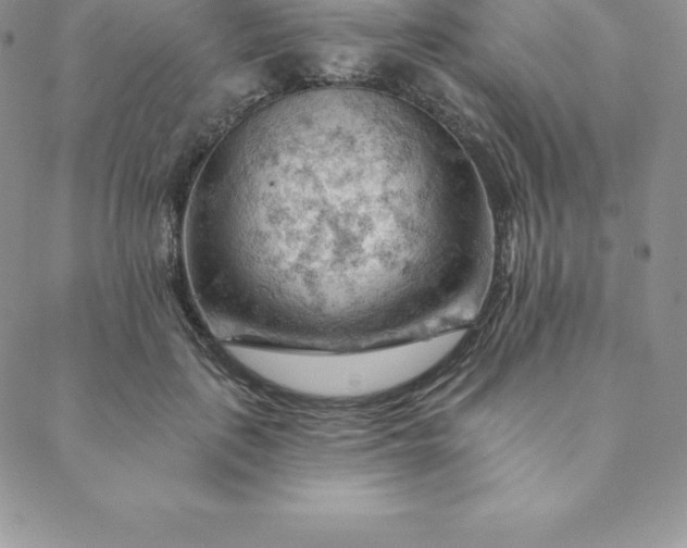 X0000088650651200706081639