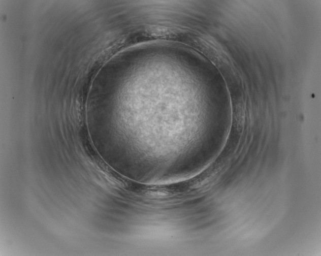 X0000088650653200706081639