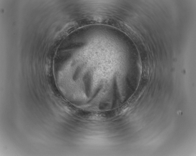 X0000088650656200706081639