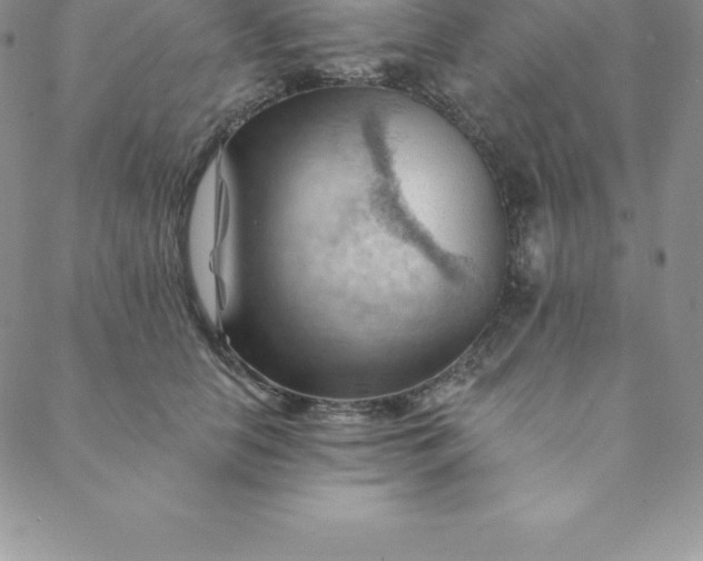 X0000088650658200706081639