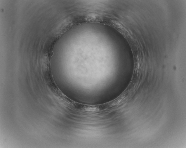 X0000088650659200706081639