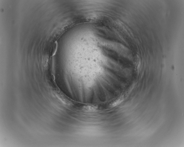 X0000088650660200706081639