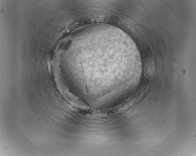 X0000088650661200706081639