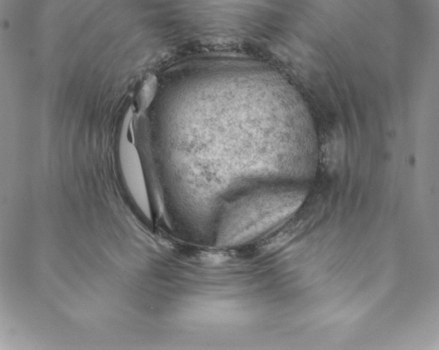 X0000088650662200706081639