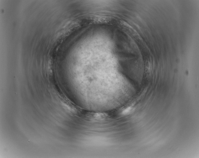 X0000088650663200706081639