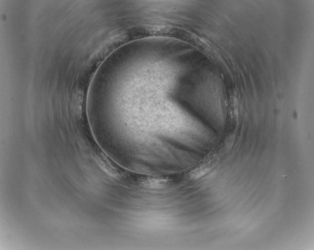 X0000088650664200706081639