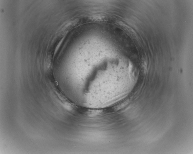 X0000088650665200706081639