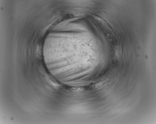 X0000088650667200706081639