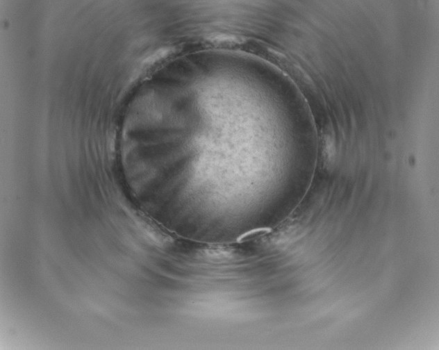 X0000088650668200706081639