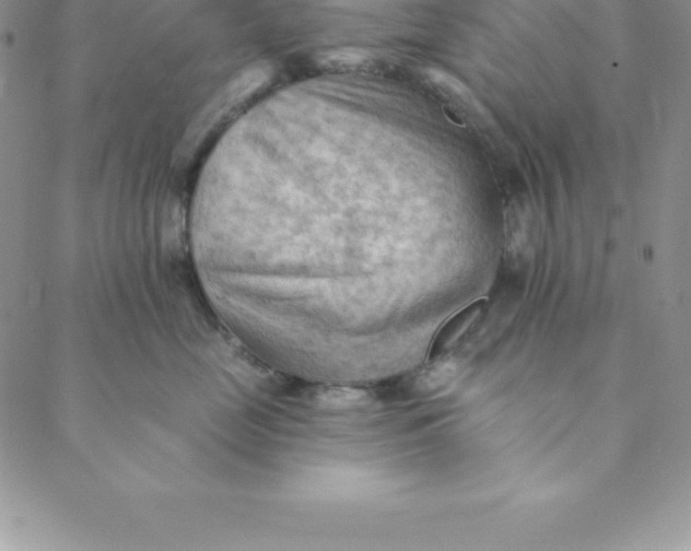 X0000088650669200706081639