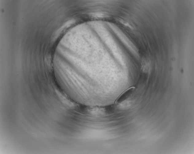 X0000088650670200706081639