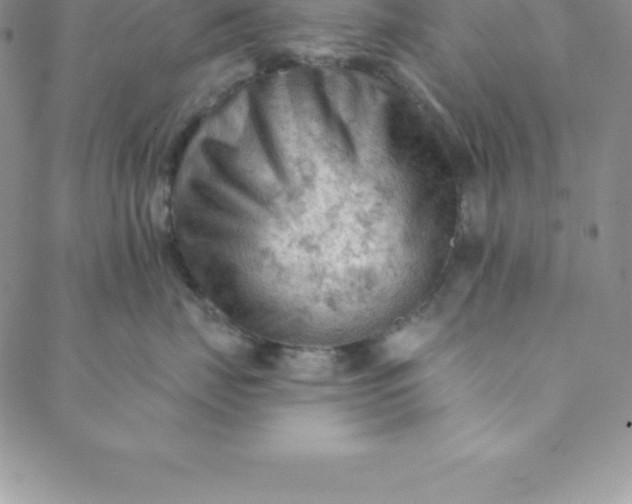 X0000088650671200706081639