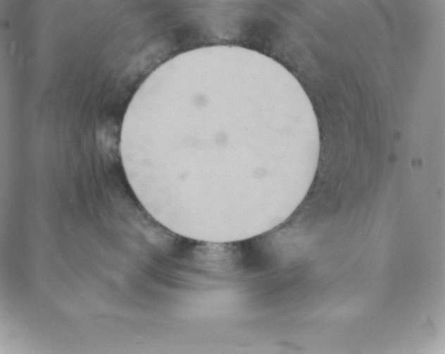 X0000088650672200706081639