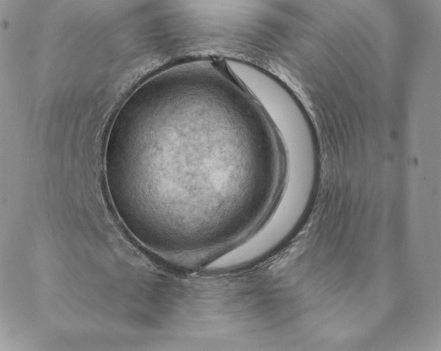 X0000088650673200706081638