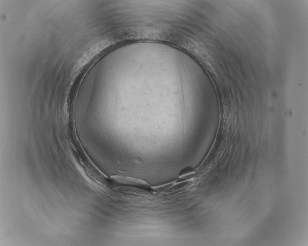 X0000088650674200706081638