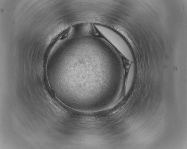 X0000088650677200706081638