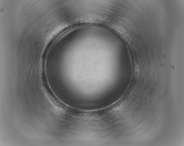 X0000088650678200706081638