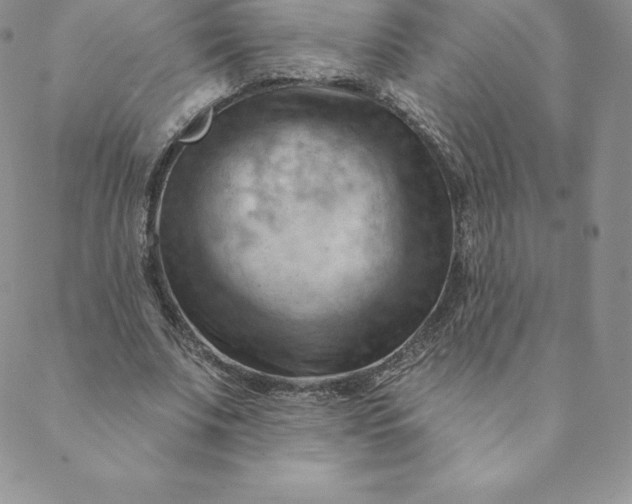 X0000088650679200706081638