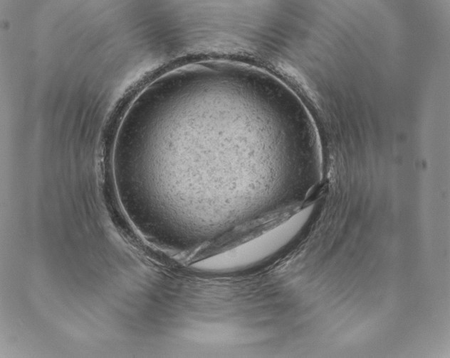 X0000088650680200706081638