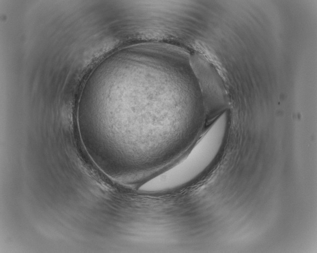 X0000088650681200706081638