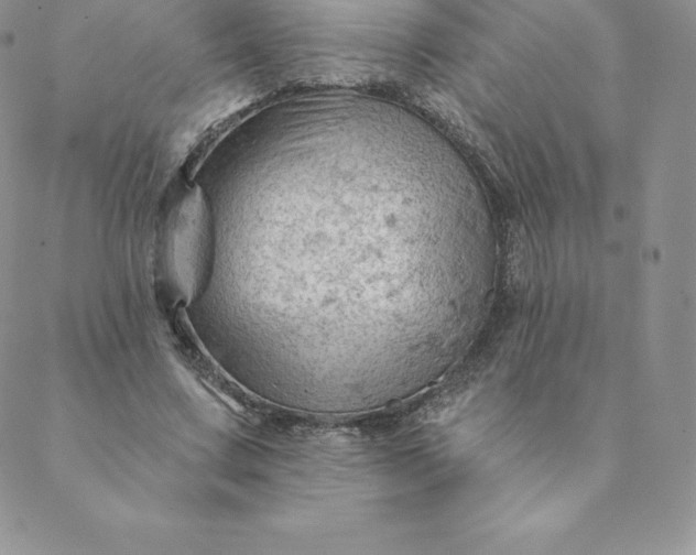 X0000088650683200706081638