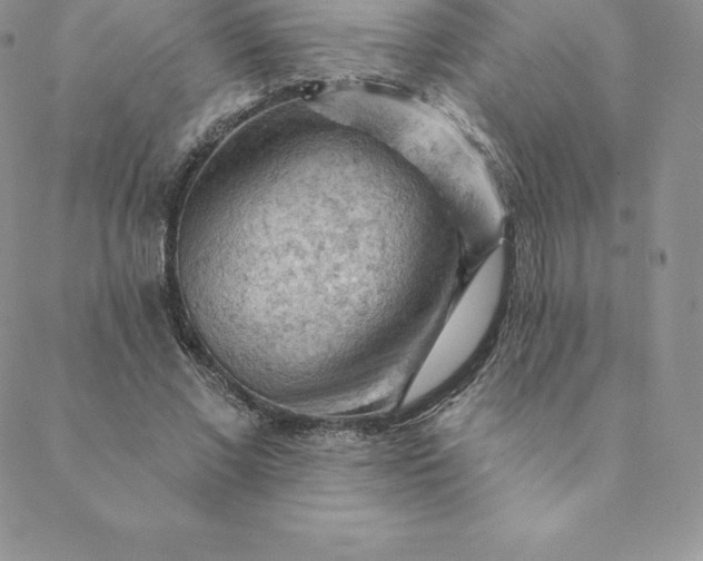 X0000088650685200706081638