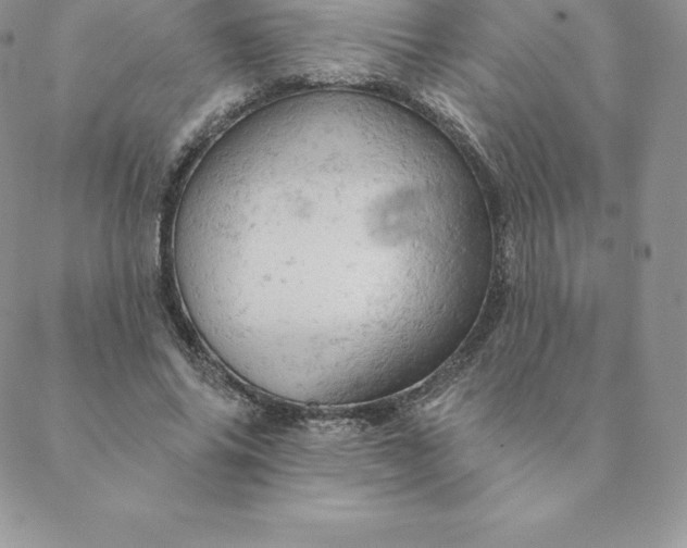 X0000088650686200706081638