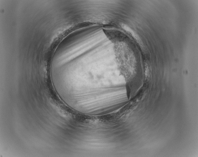 X0000088650688200706081638