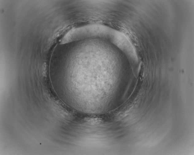 X0000088650689200706081638