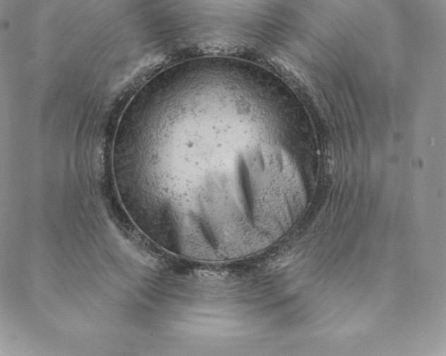 X0000088650690200706081638