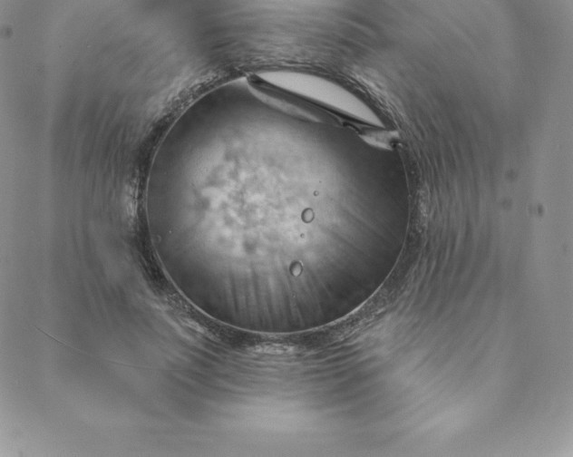 X0000088650691200706081638