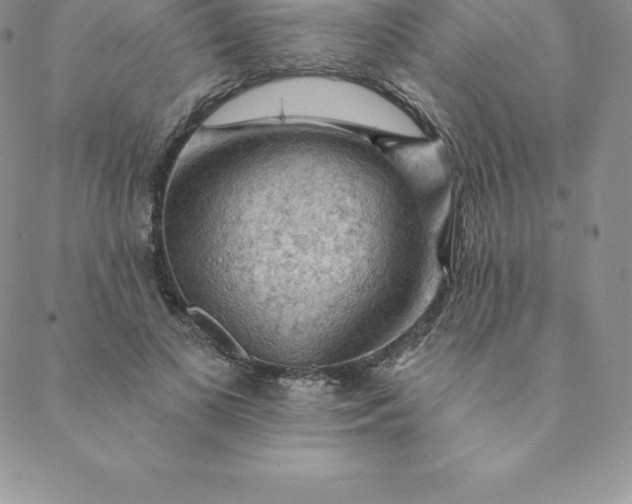 X0000088650693200706081638