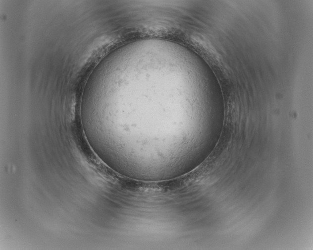 X0000088650694200706081638