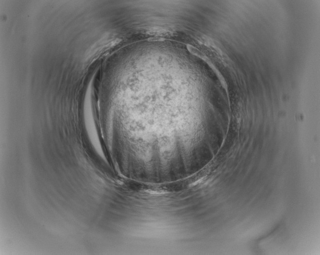 X0000088650696200706081638