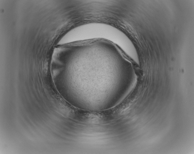 X0000088650697200706081638