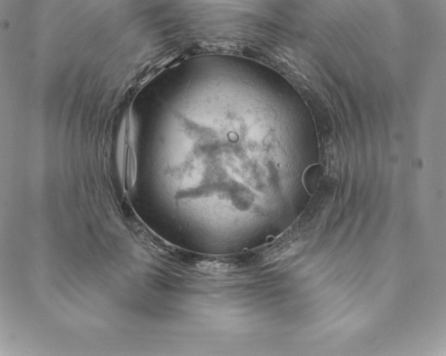 X0000088650699200706081638