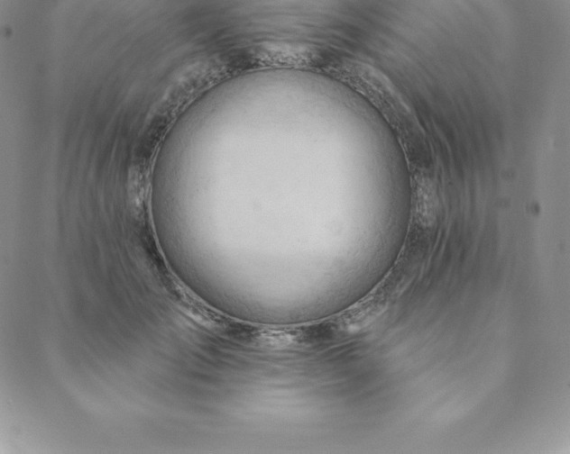 X0000088650701200706081638