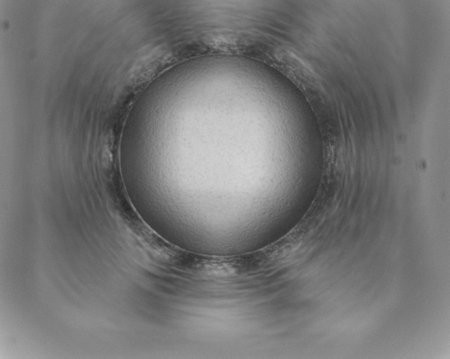 X0000088650702200706081638