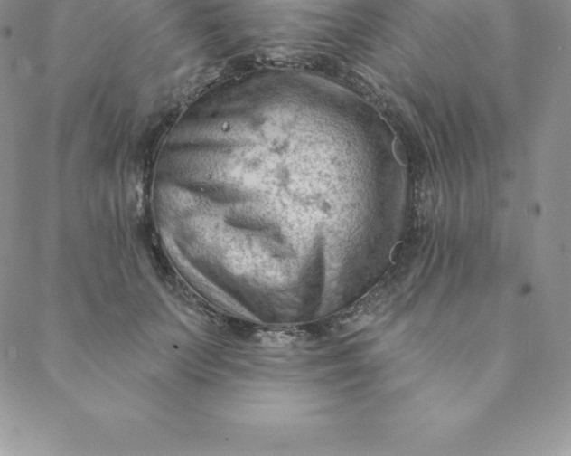 X0000088650703200706081638