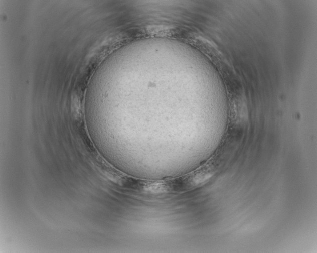 X0000088650705200706081638