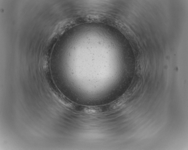 X0000088650706200706081638