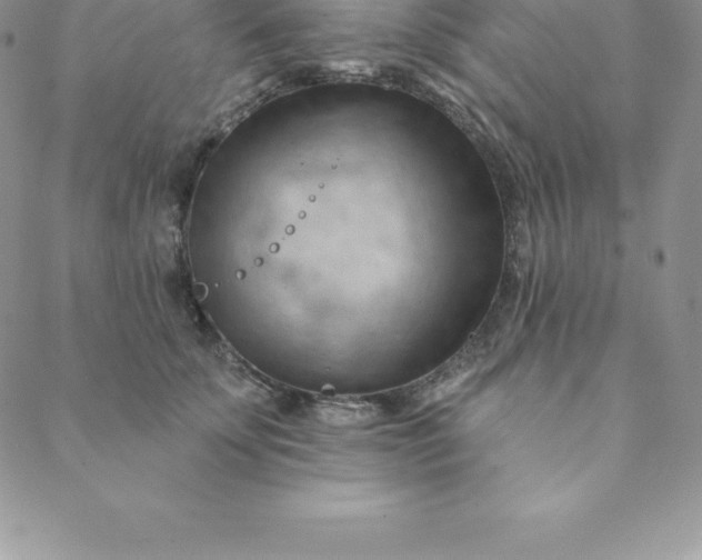 X0000088650707200706081638