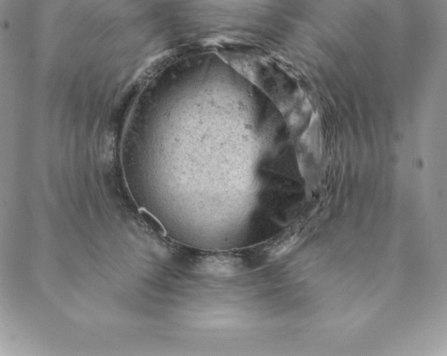 X0000088650708200706081638