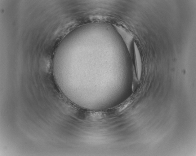 X0000088650709200706081638