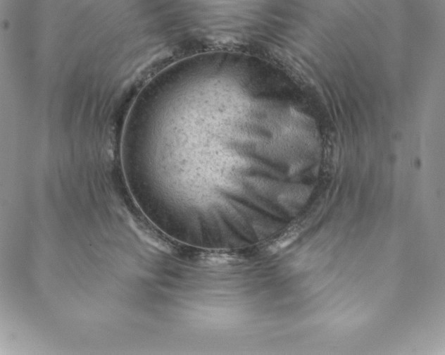 X0000088650710200706081638