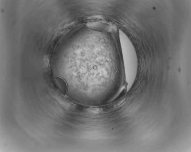 X0000088650711200706081638